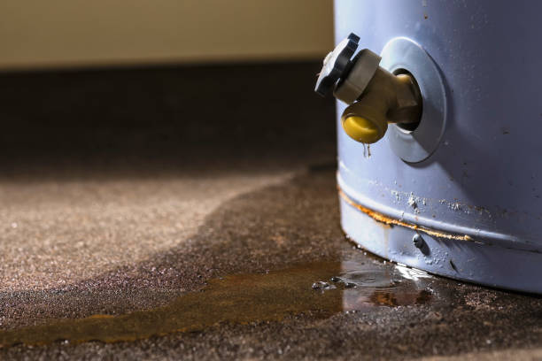 Best Water damage restoration mold remediation  in Fairplay, GA