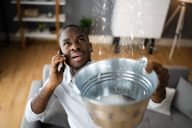Best Mold removal after water damage  in Fairplay, GA