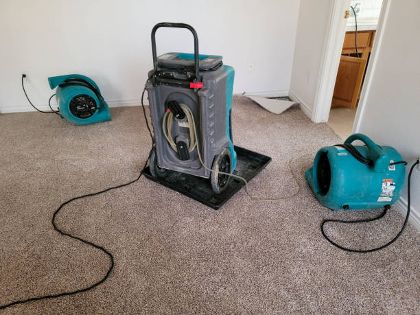 Best Carpet water damage restoration  in Fairplay, GA