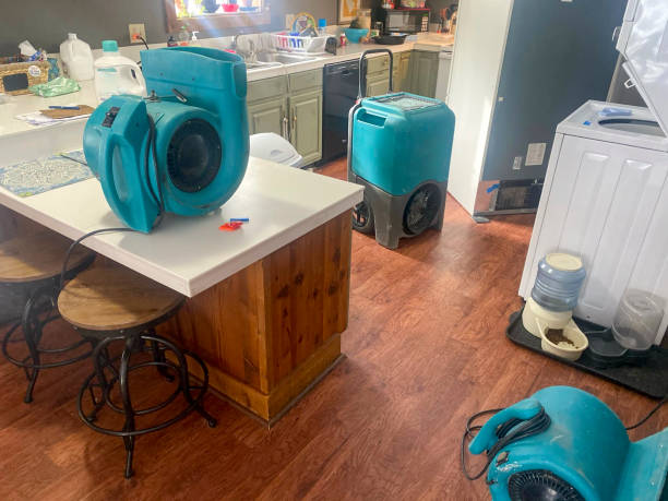 Best Water damage restoration near me  in Fairplay, GA