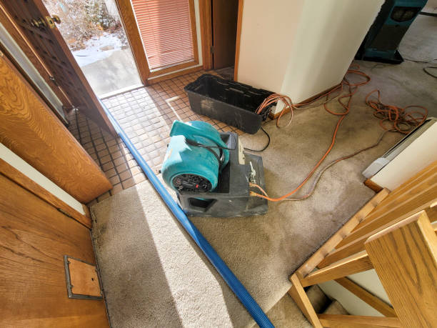 Carpet water damage restoration in Fairplay, GA