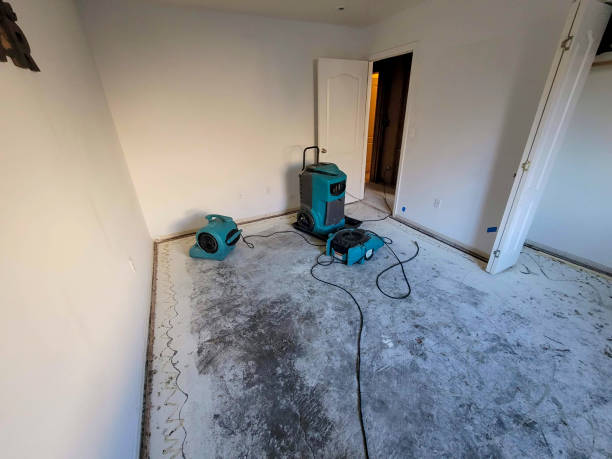 Best Flooded house restoration  in Fairplay, GA
