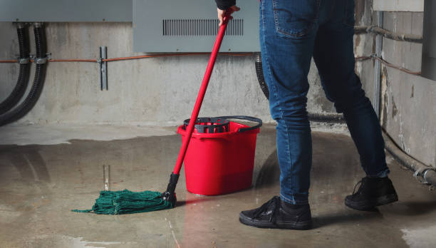 Best 24/7 water damage repair  in Fairplay, GA