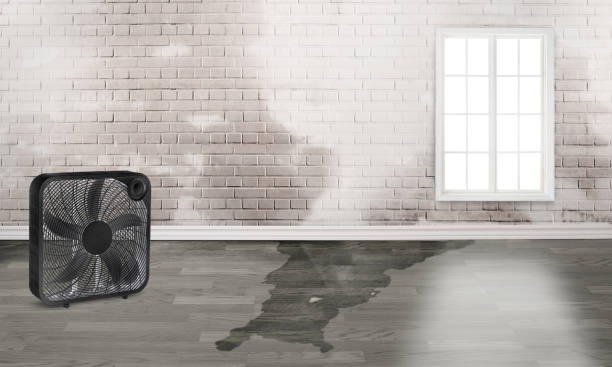 Best Fire Damage Restoration  in Fairplay, GA