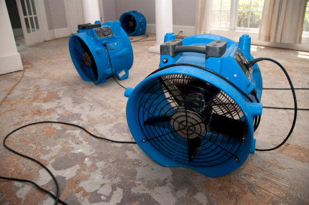 Best Ceiling water damage repair  in Fairplay, GA