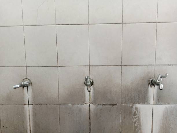 Best Basement water damage restoration  in Fairplay, GA