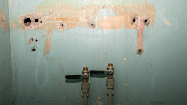 Best Flood damage cleanup  in Fairplay, GA
