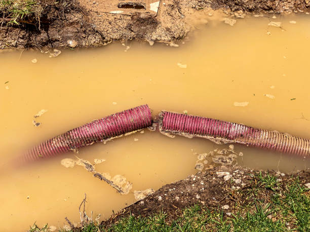 Best Water damage cleanup near me  in Fairplay, GA